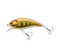 ACTINPANT 1 Esca Artificiale Micro Minnow da 46 mm e 3,7 g for la Pesca alla Trota, alla Carpa, al Torrente, al Lago, con Esche dure, Esca for Il Pesce persico(F)
