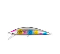 ACTINPANT 1 Esca Dura affondante a Lunga Distanza for pesciolino, 120 mm, 40 g, Esca for la Pesca in Mare, for passera di Mare, spigola(E)