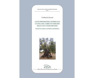 «Actio prohibitoria ususfructus» e tutela del corretto esercizio dello «ius uten
