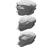 Action Figure Head for Marvel Legends Series Compatible with Venom Eddie Brock