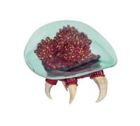Action figure Nintendo Metroid Prime 15,2 cm, ufficiale Nintendo di, design dettagliato e con texture, statuina da collezione con molteplici punti di articolazione, perfetta per giocare ed esporre