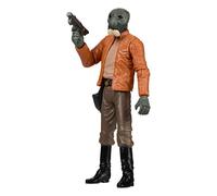 Action Figure: Vintage Collection Star Wars A New Hope: PONDA BABA - Hasbro