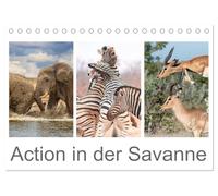 Action in der Savanne (Tischkalender 2026 DIN A5 quer), CALVENDO Monatskalender: Afrikas Tiere in voller Aktion