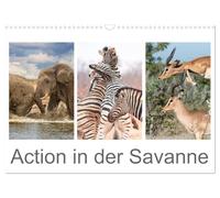 Action in der Savanne (Wandkalender 2026 DIN A3 quer), CALVENDO Monatskalender: Afrikas Tiere in voller Aktion