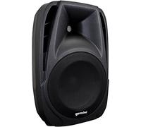Active Class Ab 10 Loudspeaker110W RMS220W Prog440