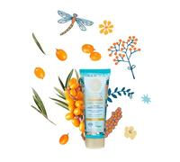 Active Organic Sea Buckthorn Hand Cream 75 Ml (Natura Siberica) by Natura Siberica