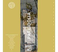 Actor Observer - Pareidolia