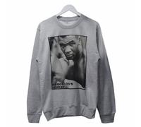 Actual Fact Mike Tyson Brooklyns Finest Boxe Girocollo Grigio Felpa
