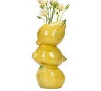 Acunny Vaso per frutta per fiori - Vaso decorativo in ceramica per fiori - decorazione da scrivania - vaso decorativo per fiori - regalo per donne
