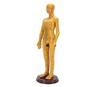 Acupuncture Doll With Enlarged Pressure Point Markings For Clinical Study