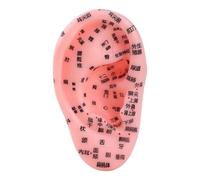 Acupuuntura 'orecchio, 13 cm, anatomia , modello di massaggio con zone anatomiche, modello di zona riflessa, ideale per lezioni scolastiche, per principianti e professionisti, didattico