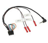 ACV Mulitlead LFB + Infodapter