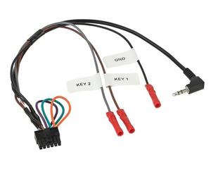 ACV Mulitlead LFB + Infodapter