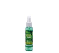 Ad Trend Spray Ambiente Prof Ass. Citronella o Geranio 100 Ml 1 Pz