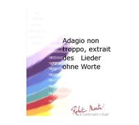 Adagio Non Troppo, Extrait des Lieder Ohne Worte