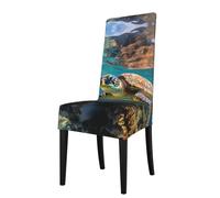 ADAhgu Lord Howe Island Sea Turtle Print Funzionalità Versatile Stretch Sedia da Pranzo Coprisedia Impermeabile
