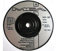 Adam Ant - Room at the top [VINYL]