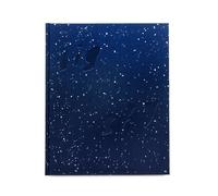 Adam Ferguson Big Sky (Copertina rigida)