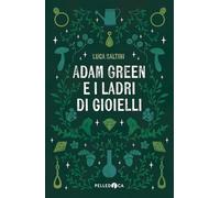 Adam Green e i ladri di gioielli