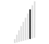 Adam Hall 61535 B 16 - Rack Strip Nero Polvere 16 U