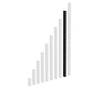 Adam Hall 19" Parts 61535 B 18 - Guida Rack Heavy Duty nera 18 U