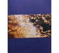 Adam Kremer Gates to the Garden (Tascabile)