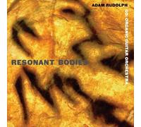 Adam Rudolph Resonant Bodies (CD)