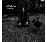 Adam Torres I Came to Sing the Song (Vinyl LP) 7" Single