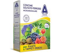 adama Concime Solfato Ferroso microgranulare 1 kg Contro clorosi Prato BIO