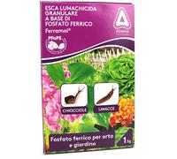ADAMA FERRAMOL ESCA LUMACHICIDA LUMACHE BIOLOGICO ORTO fosfato ferrico LIMACCE