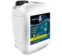 ADAMA FOVAL CE INSETTICIDA MOSCHE ZANZARE CIMICI DEI LETTI ZECCHE 5 LT