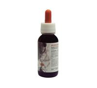 Adamah Eie Ipofoemin Gocce 60 Ml