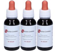 Adamàh EIE Rosa Canina Gocce 3x60 ml Gocce orali