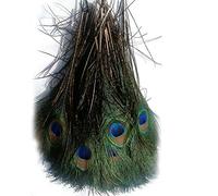 ADAMAI - Coda per occhi con piume di pavone, 30-35 cm, confezione da 10 (naturale)