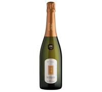 Adami Dei Casel Valdobbiadene Prosecco Superiore DOCG Extra Dry 0,75 ℓ