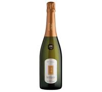Adami Dei Casel Valdobbiadene Prosecco Superiore DOCG Extra Dry 0,75 l
