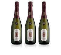 Adami Dei Casel - Vigneto Giardino Valdobbiadene DOCG Prosecco Superiore Rive di Colbertaldo - Asciutto Dry - Grande Armonia ed Eleganza - 11% vol. 0,75l