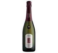 Adami Vigneto Giardino Valdobbiadene Prosecco Superiore DOCG Rive di Colbertaldo Dry 2024 0,75 ℓ