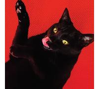 Adams Ryan - Big Colors