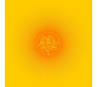 Ryan Adams Easy Tiger (Vinyl LP)