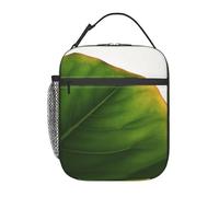 AdaNti Borsa per il pranzo con stampa a foglia isolata per le donne riutilizzabile Lunch Box Cooler Tote Bag per il lavoro Picnic Viaggi, Nero , Taglia unica