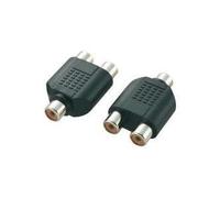 Adattatore Audio Y Speakea professionista [1x Socket Cinch Socchi