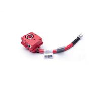 Adattatore batteria 96SKV309 ESEN SKV per BMW 1