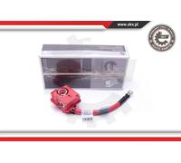 Adattatore batteria 96SKV309 ESEN SKV per BMW 1