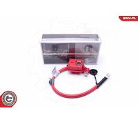 Adattatore batteria per BMW 1 3 X1