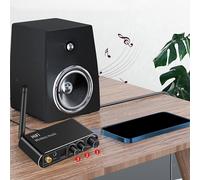 Adattatore Bluetooth Digitale Analog No Delay BT5.1 Ricevitore Multi-Funzione