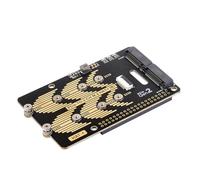 Adattatore da PCIe a 2 canali per scheda di espansione doppia 5 migliora le prestazioni di accesso ai dati NVMe SSD
