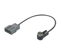 Adattatore D'antenna Iso Phonocar 08551
