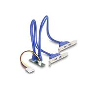 Adattatore DeLock 61066 M.2 B+M 4x USB 3.2 Gen 1 5Gbps