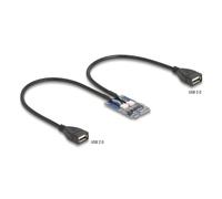Adattatore Delock 64346 Mini PCI Express 2x USB 2.0 Full Profile